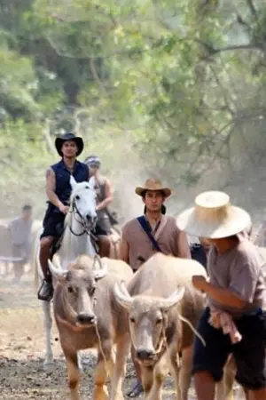 ปกนิยาย คำแพงทองก้อน