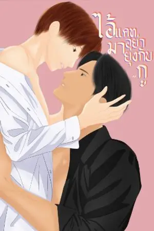 ปกนิยาย ไอ้แคท..อย่ามายุ่งกับกู