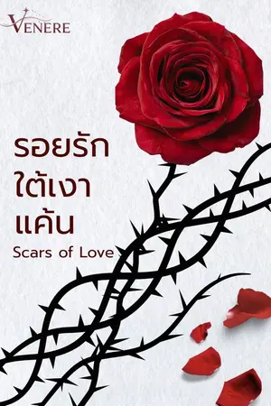ปกนิยาย Scars of Love : รอยรักใต้เงาแค้น
