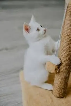 ปกนิยาย เพื่อนสนิทข้างห้อง