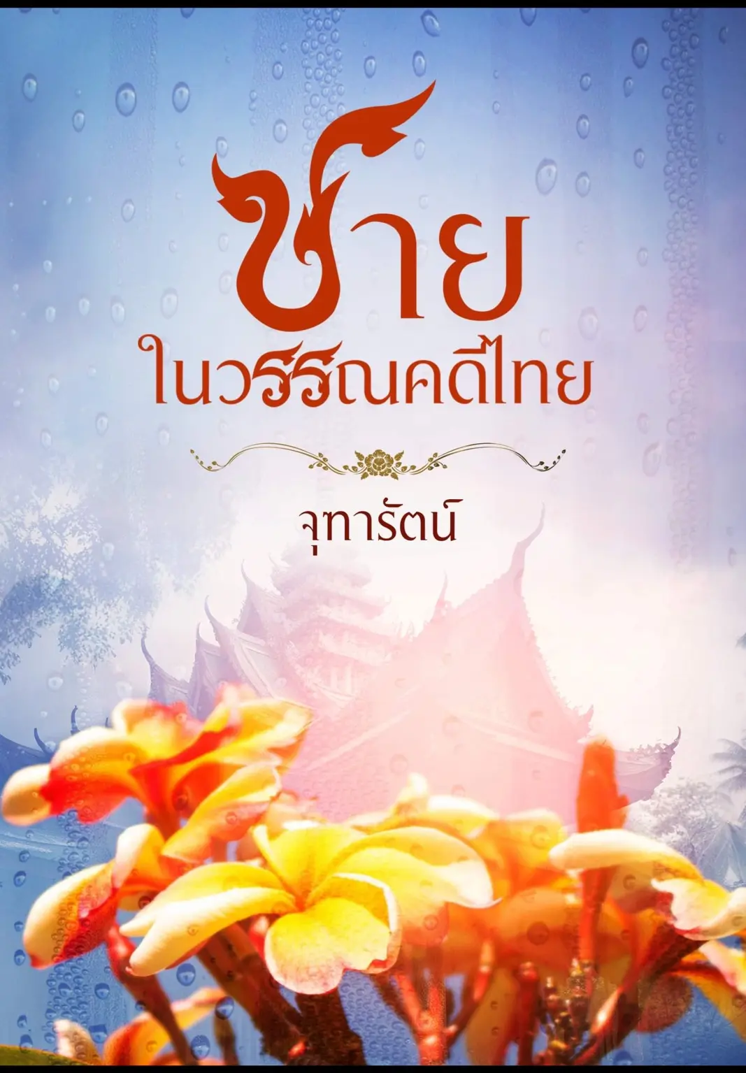 ปกนิยาย
