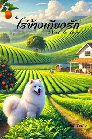 ปกนิยาย ไร่ข้างเคียงรัก( Next to love)