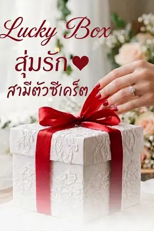 ปกนิยาย Lucky Box สุ่มรักสามีตัวซีเคร็ต
