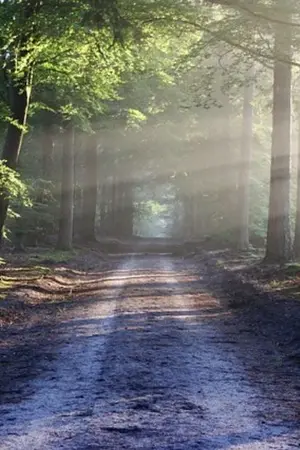 ปกนิยาย เพราะข้าคือเยว่เยว่ของท่าน