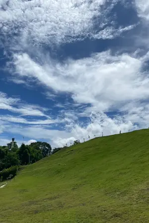 ปกนิยาย เมื่อลมหวนคืน