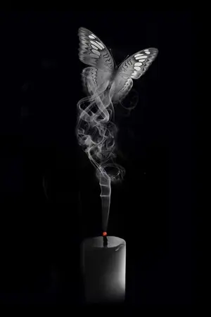 ปกนิยาย #YURI The Breath of the Corpse ลมหายใจของศพในโลงแก้ว