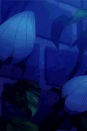 ปกนิยาย [FIC ONE PIECE X OC] From Above to Beginning