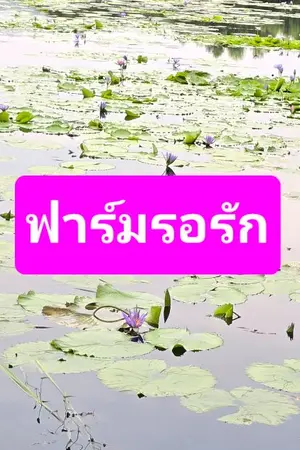 ปกนิยาย ฟาร์มรักของมายเดียร์