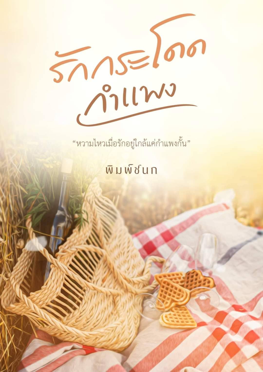 ปกนิยาย รักกระโดดกำแพง