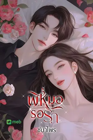 ปกนิยาย พี่หมอ รอรัก