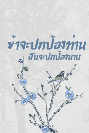 ปกนิยาย ข้าปกป้องท่าน ฉันปกป้องนาย