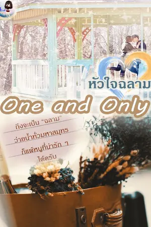 ปกนิยาย