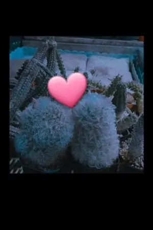 ปกนิยาย ระ ยะ เฟื่อน