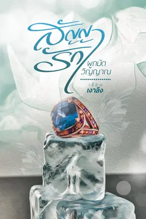 ปกนิยาย