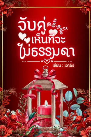 ปกนิยาย จับคู่ครั้งนี้ เห็นทีจะไม่ธรรมดา