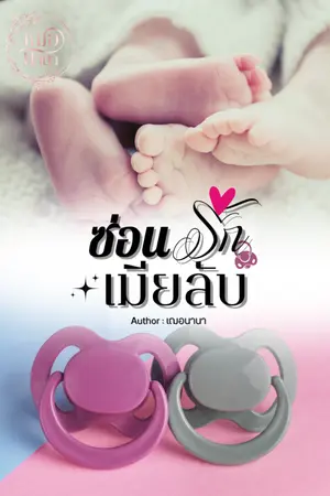 ปกนิยาย ซ่อนรักเมียลับ