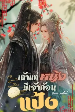 ปกนิยาย เถ้าแก่หนิงมีเจ้าก้อนแป้ง!!!