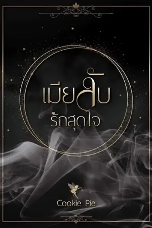 ปกนิยาย เมียลับรักสุดใจ