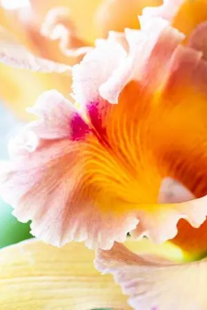 ปกนิยาย ต้นข้าวจากวันสิ้นโลกย้อนกลับมาอีกครั้งในยุค 90 (จบ)