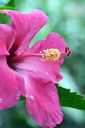 ปกนิยาย จักรพรรดิเซียนที่รัก