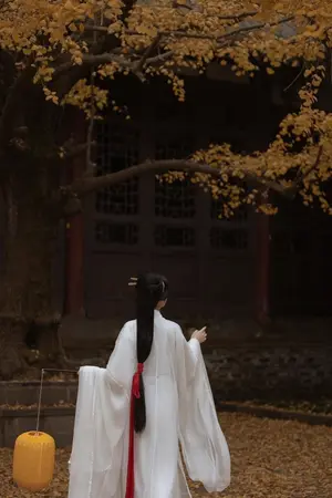 ปกนิยาย "หอเหมยไร้เงาจันทร์" (月影不照梅閣)