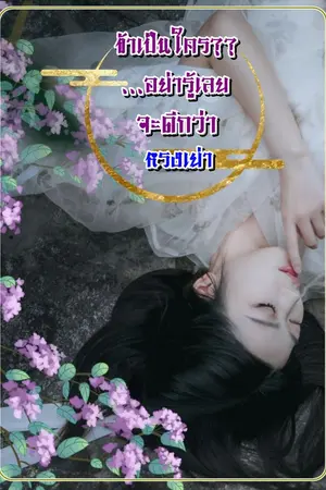 ปกนิยาย ข้าเป็นใคร??...อย่ารู้เลยจะดีกว่า