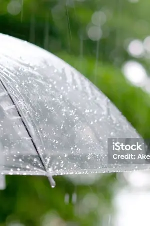 ปกนิยาย ไว้เจอกันอีก