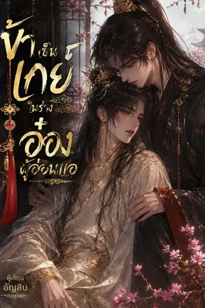 ปกนิยาย ข้าเป็นเกย์  ในร่างอ๋อง  ผู้อ่อนเเอ