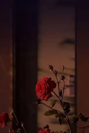 ปกนิยาย Omegaverse : รองหัวหน้า คุณอย่าไม่ชอบผมเลย