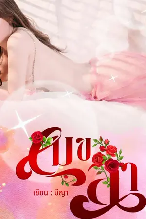 ปกนิยาย เมขลา