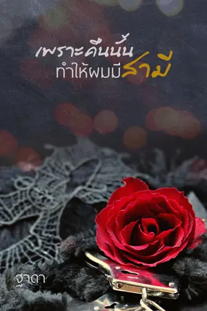 ปกนิยาย เพราะคืนนั้นทำให้ผมได้สามี ft.markbam
