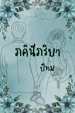 ปกนิยาย