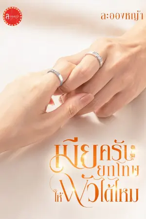 ปกนิยาย เมียครับยกโทษให้ผัวได้ไหม (ซีรีส์ ผบ)