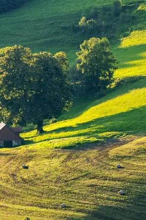 ปกนิยาย บ้านสวนหอมหมื่นลี้