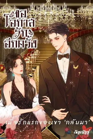 ปกนิยาย ขอโอกาสรักอีกครั้ง