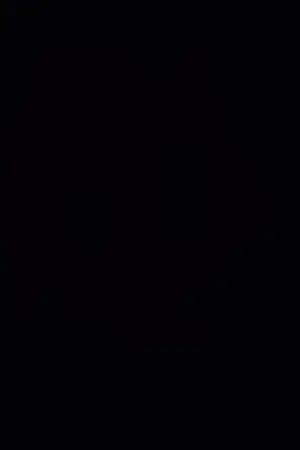 ปกนิยาย The Forbidden Codex