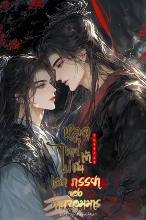 ปกนิยาย หลุดเวลาเข้าไปเป็นเอกภรรยาของท่านจอมมาร