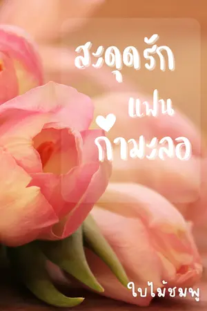 ปกนิยาย สะดุดรักแฟนกำมะลอ