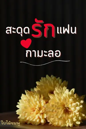 ปกนิยาย สะดุดรักแฟนกำมะลอ