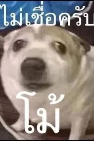 ปกนิยาย เฮียเล้งกะเฉาก๊วย | #MarkBam