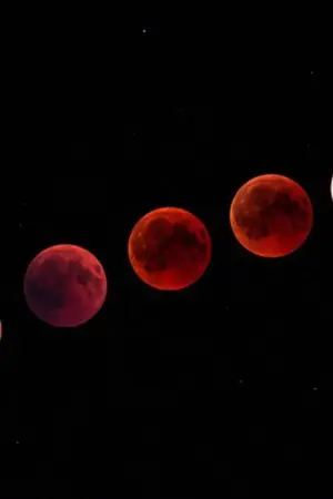 ปกนิยาย Sacrifice this love