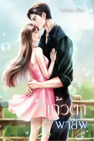 ปกนิยาย แก้วตาของพายัพ