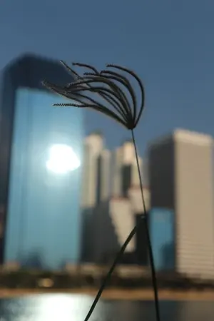 ปกนิยาย สมาคมดอกหญ้า