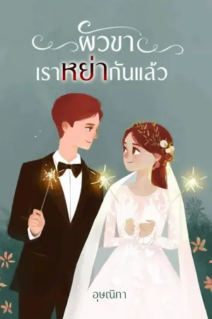 ปกนิยาย ผัวขาเราหย่ากันแล้ว