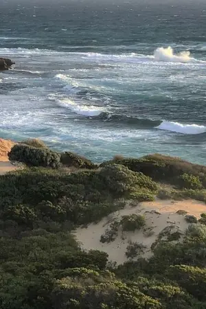 ปกนิยาย [Forever with you] รักนิรันดร