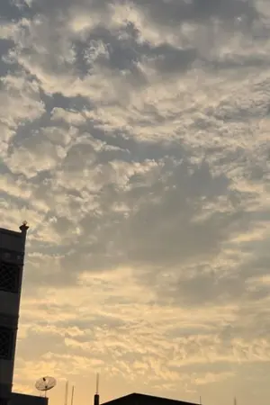 ปกนิยาย เรื่องเล่าของผู้ไร้รัก