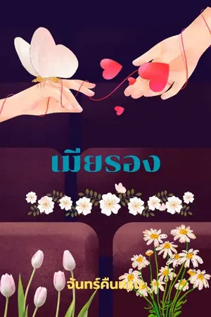 ปกนิยาย เมียรอง (มี e-book meb)