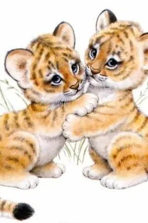 ปกนิยาย "คุณเสือของน้องขนม"