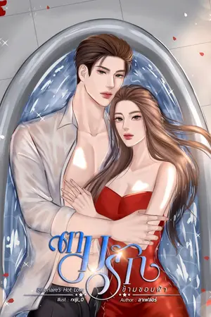 ปกนิยาย ตามรักข้ามขอบฟ้า (Billionaire’s Hot Love)