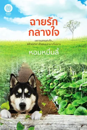 ปกนิยาย ฉายรักกลางใจ (เป็นหนึ่งสำนักพิมพ์)